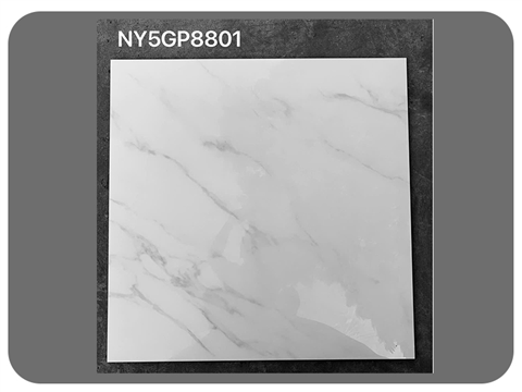 Gạch Viglacera Kt 80x80 Granite GP8801